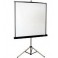 Infocus Projector and Screen for Hire