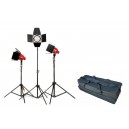 Red Head Lighting Kit with Dimmers
