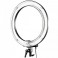 Single bank Ring Light Fluorescent